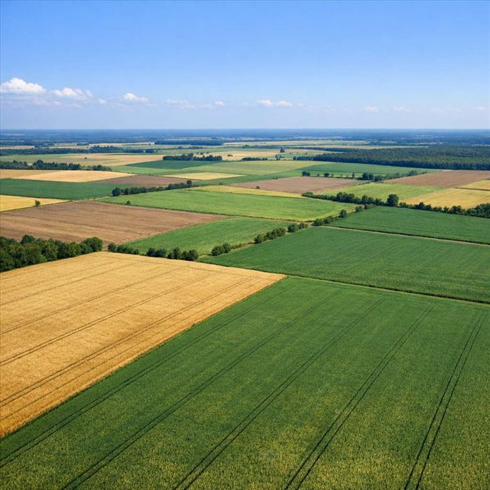 1000 acres en hectares : conversion exacte et simple