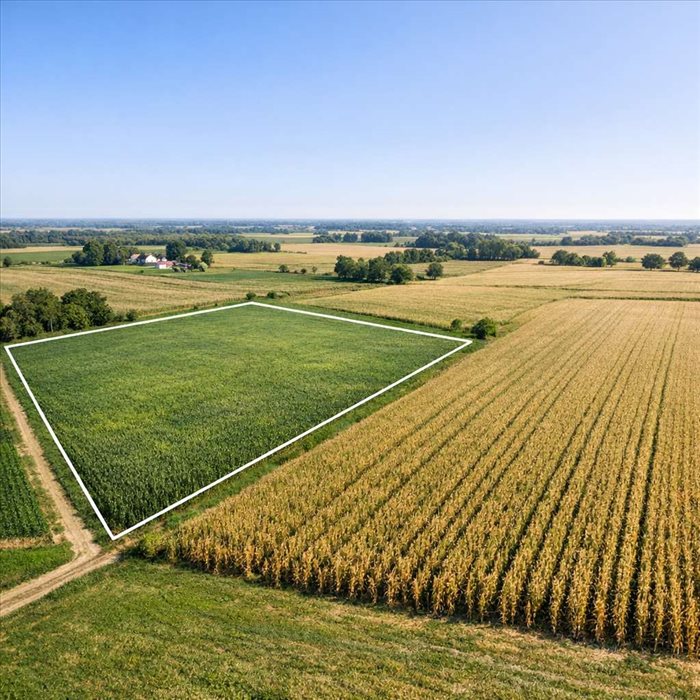 15 acres en hectares : conversion simple et rapide