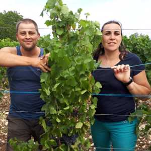 Domaine Trichon, un professionnel du vin à Sallanches