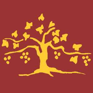 Coralie, un vendeur de vin à Draguignan